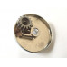 Planet Hub Kenwood Major - KM020 Titanium